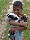 Samarai Island, Milne Bay, Papua New Guinea - A young boy with his dogs.