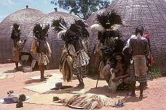 Lobamba, Eswatini, 1970 - Warriors of the Balondolozi Swazi regiment prepare for the main day of the iNcwala ceremony.