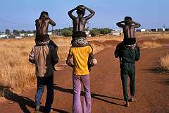 Lajamanu, NT, Australia, 1975 - Three Warlpiri boys starting their journey to Yuendumu at the beginning of their initiation ceremony.
