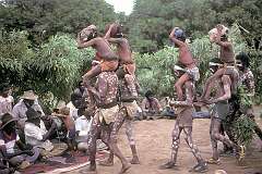 Borroloola, NT, Australia, 1984 - Young Yanyuwa “daru” or initiates carried to their fathers at the windbreak of the “Jamangki”ceremonial ground.