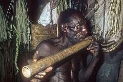 Korobo, East Sepik, Papua New Guinea, 1979 - Playing a sacred bamboo flute at a “Wakendembe” skin cutting Crocodile initiation ceremony in the Haus Tambaran (Spirit House).