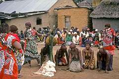 Bethany, Eswatini, 1972 - Candidate Swazi “tangoma”, traditional healers, in a kind of trance during their “iNtfwasa” graduation ceremony.
