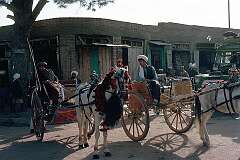 Waiting for customers on a street corner in Herat, these “Gandi” horse-drawn carriages were a welcome alternative to the mainly Russian-built taxis.