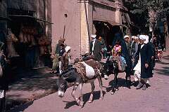 A man guides his small donkey caravan past a butcher shop, carcasses hanging outside. His wife, almost invisible in her all-enveloping black “burqa” and small daughter in contrasting bright clothes, may ride.