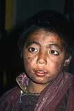 Nawang Tijeng, a young novice monk in Hemis Gompa.