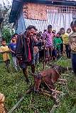 The Angh, a Konyak Naga tribal leader, with the mountain goat that had been caught by Naga hunters, at the Chingke morung community centre in Sheanghah Chingnyu.