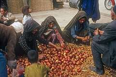 Selling onions on Aqqala market.