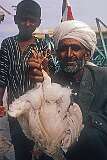 A Turkmeni man with a chicken in Aqqala.