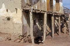 A dilapidated house and donkey in Aqqala.