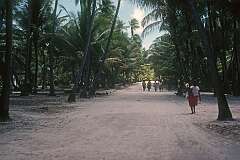 On the road walking south from Taribo to Roreti.