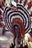 Port Moresby, Papua New Guinea, 1988 - A dancer from Moale village at the Hiri Moale Festival.