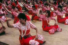 Papeete, Tahiti, French Polynesia, 1985 - The Sasa “Sit-down” dance from American Samoa at the Festival of Pacific Arts.