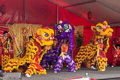 Cairns, Queensland, Australia, 2019 - Lion dancing by “Cadgai Junior Lions” for Chinese New Year, in “Chinatown”, Grafton Street.
