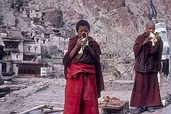 Hemis, Ladakh, India, 1979 - Young monks blowing a conch shell in Hemis Gompa, a Himalayan Buddhist monastery.