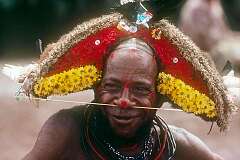 Tari, Hela Province, Papua New Guinea, 1979 - A Huli man with traditional wig.