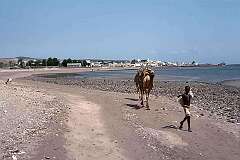 Tadjoura, Djibouti - A young camel driver along the beach.