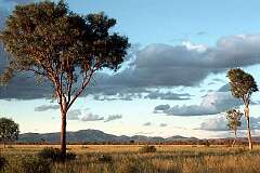 Northern Territory, Australia - Between Glen Helen Gorge and Haasts Bluff, West MacDonnell National Park in Central Australia.