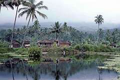 Cipanas, Jawa Barat, Indonesia - A “kampung”, small village, across one of the fish ponds in western Java.