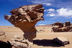 Pampa Siloli, Potosi, Bolivia - The Arbol de Piedra (tree of stone) in the High Andes near the Chilean border.