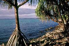 Fongafale, Funafuti, Tuvalu - The lagoon at Fongafale on Funafuti atoll.